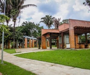 bosque-municipal-de-ouro (0653920001774470521).jpg